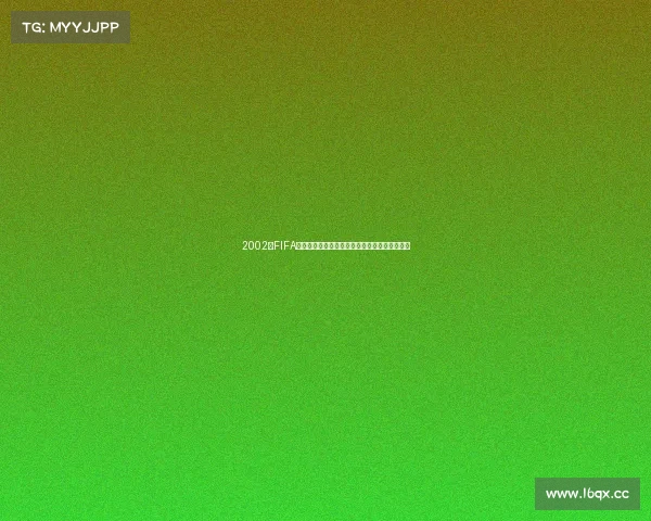 2002年FIFA世界杯中文页面全景回顾与赛事资料深度解析集